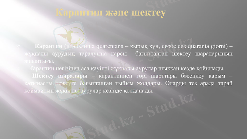 Slide 7