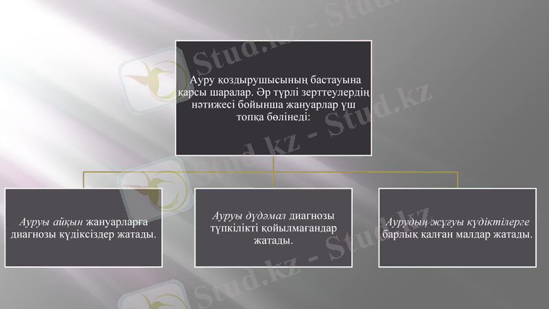 Slide 8