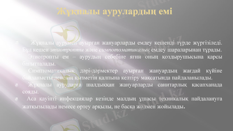 Slide 9