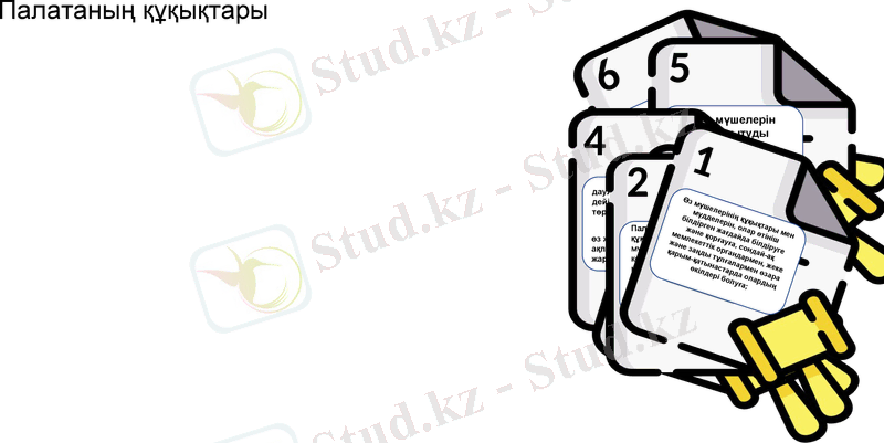 Slide 11