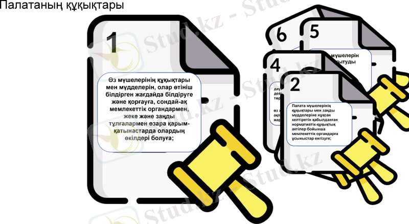 Slide 12