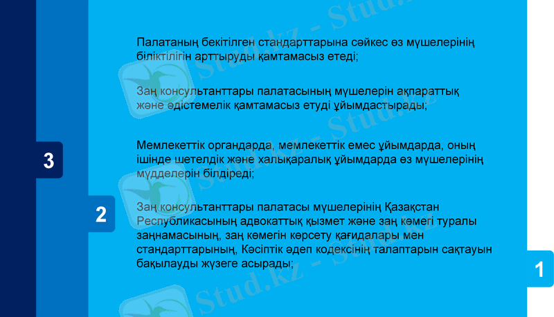 Slide 7