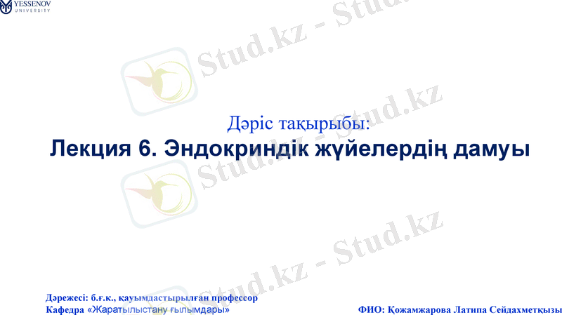 Slide 1