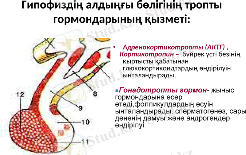 Slide 10