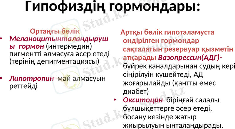 Slide 11