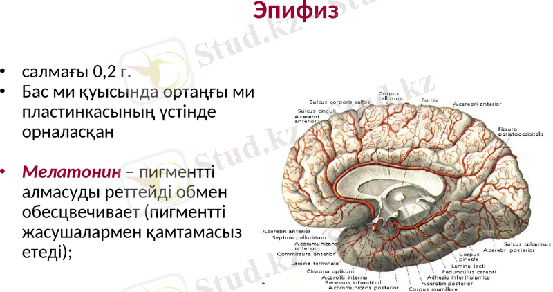 Slide 12