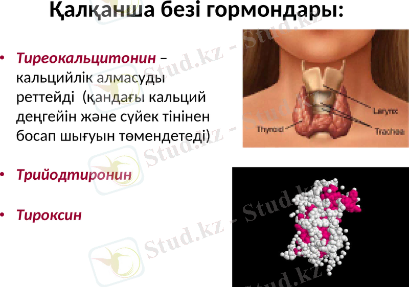 Slide 14