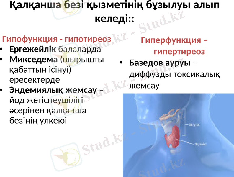 Slide 16