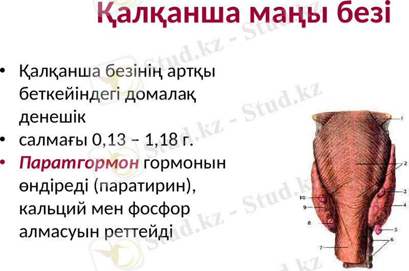 Slide 18