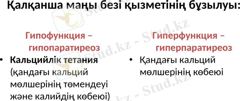 Slide 19