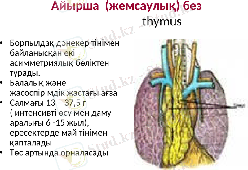Slide 20