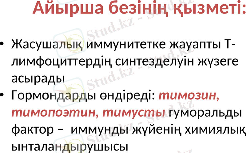 Slide 21