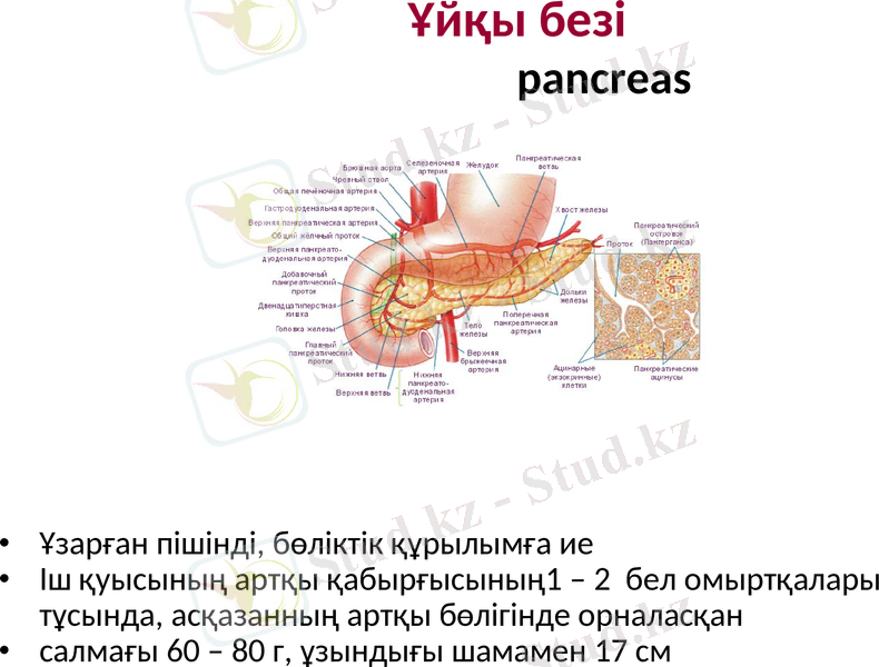 Slide 22