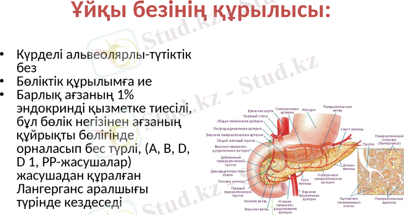Slide 23