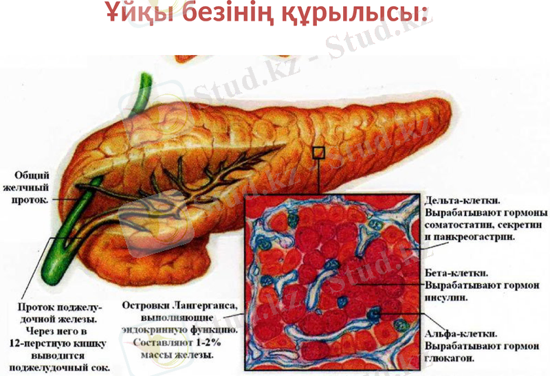Slide 24