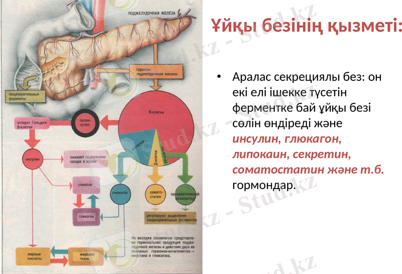Slide 25