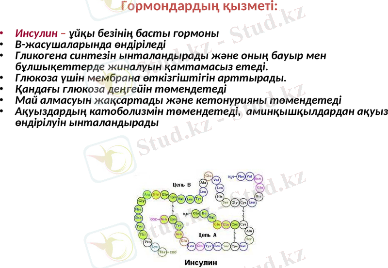 Slide 26