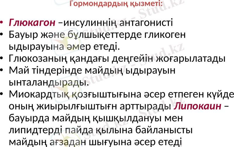 Slide 27