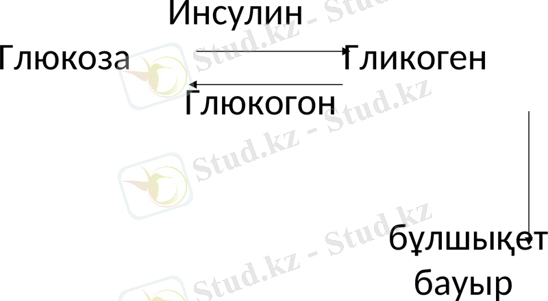 Slide 28