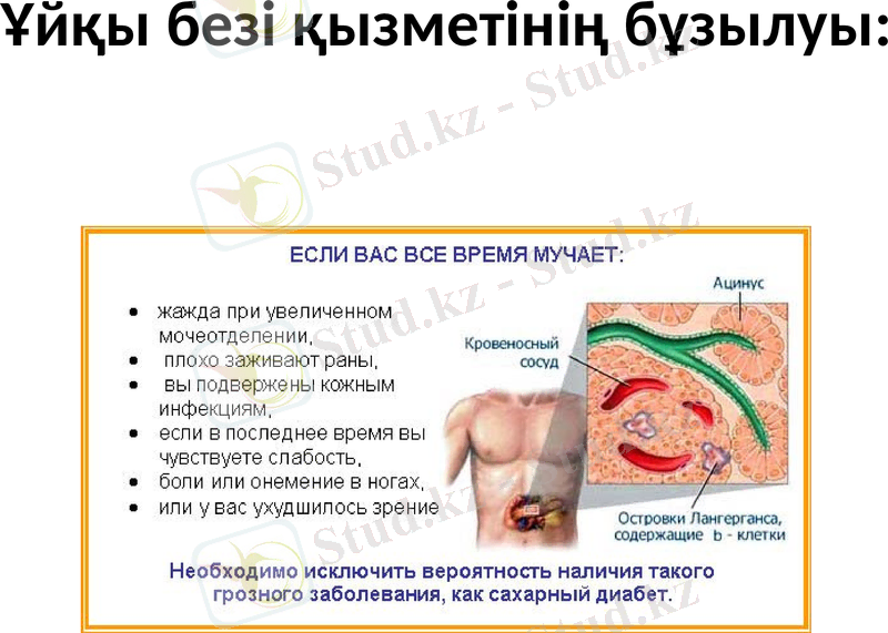 Slide 29