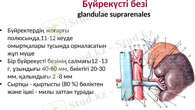 Slide 30