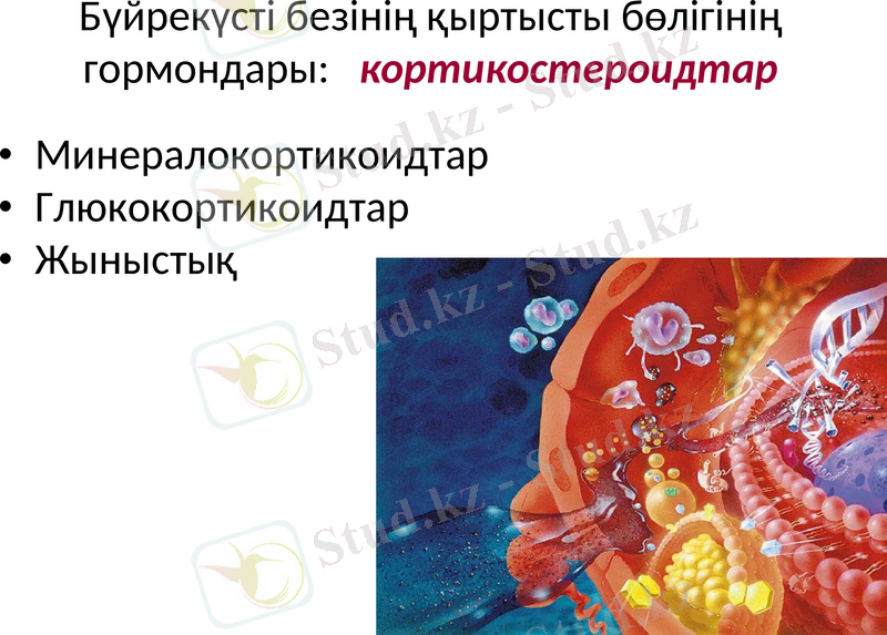 Slide 31