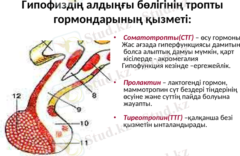 Slide 9