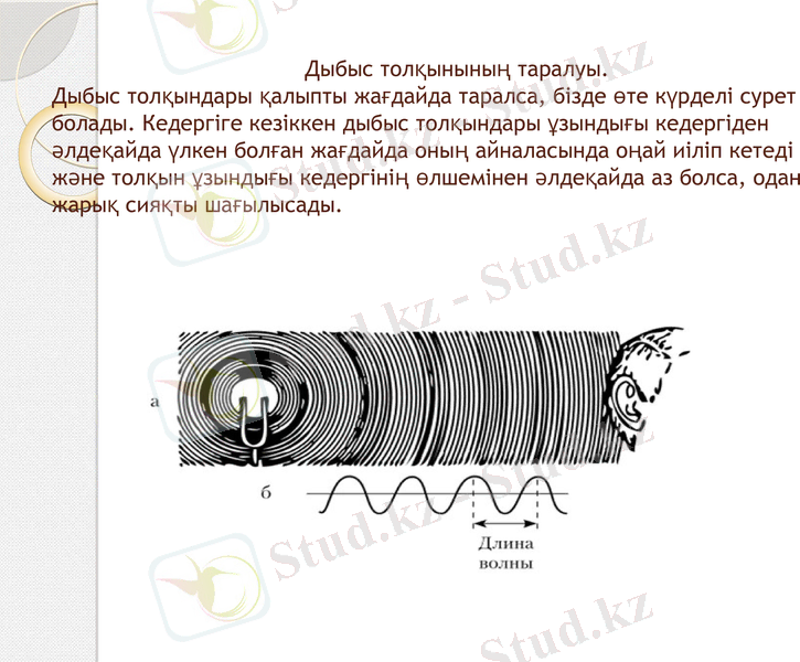 Slide 10