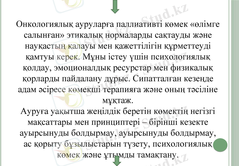 Slide 7