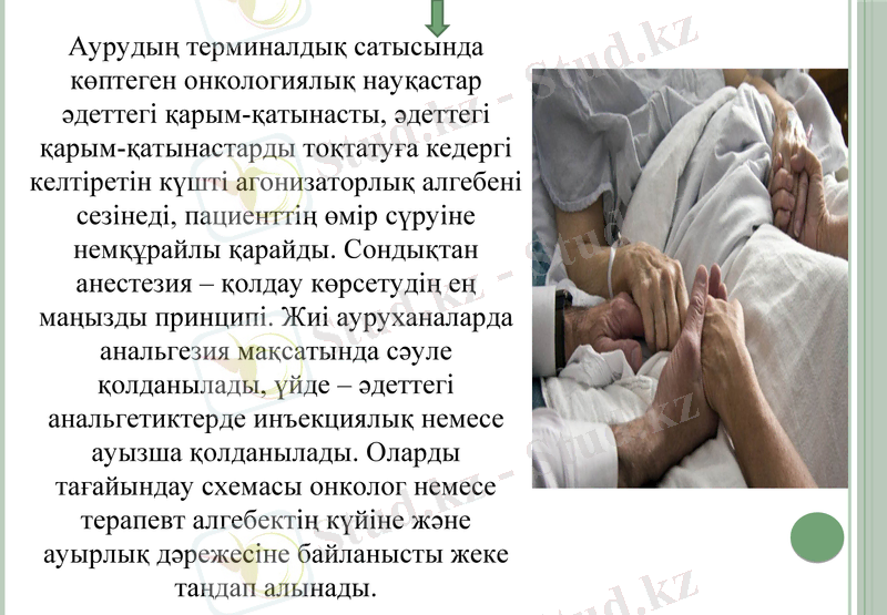 Slide 8