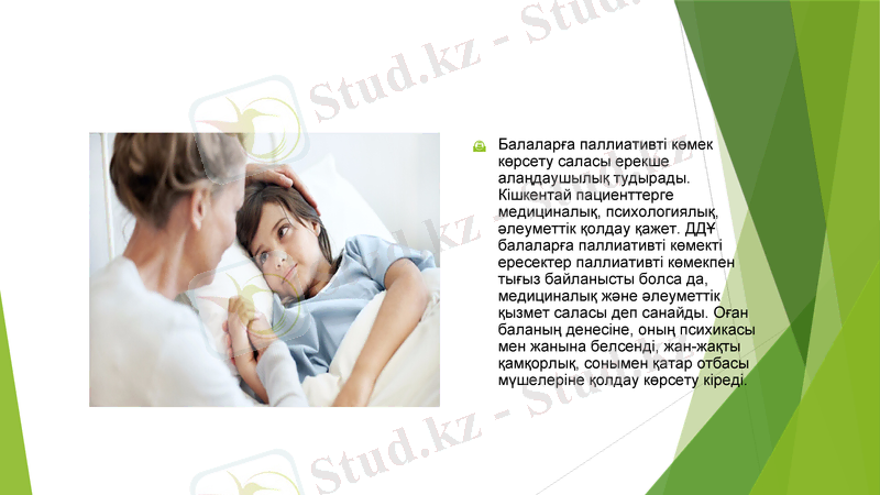 Slide 7