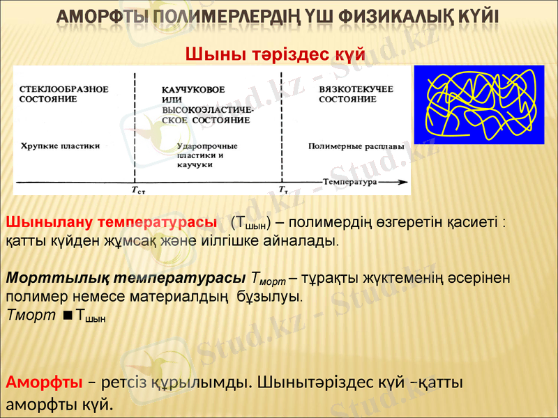 Slide 11