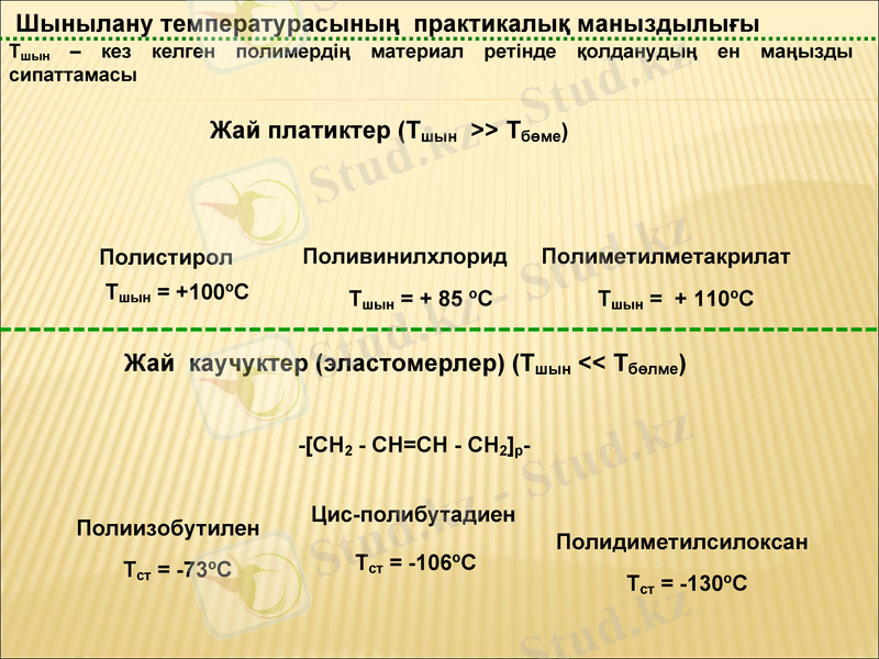 Slide 13