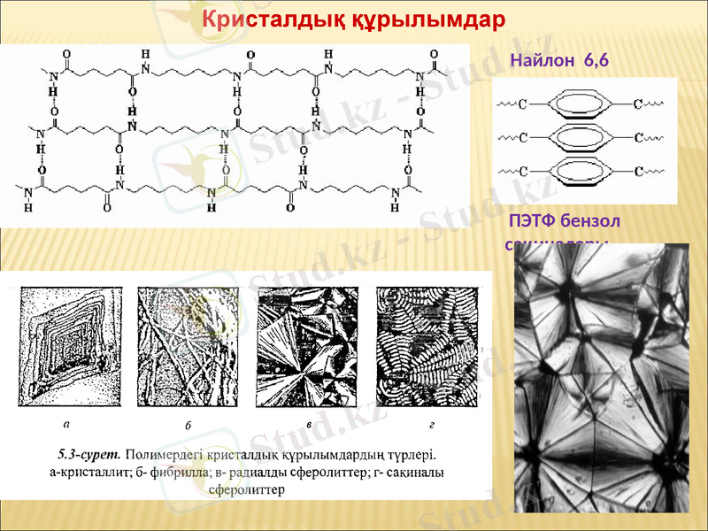 Slide 7