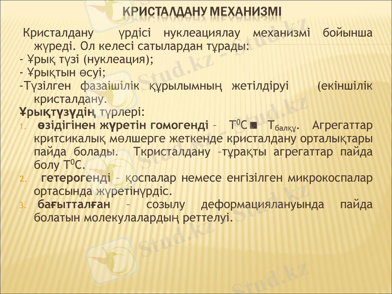 Slide 9