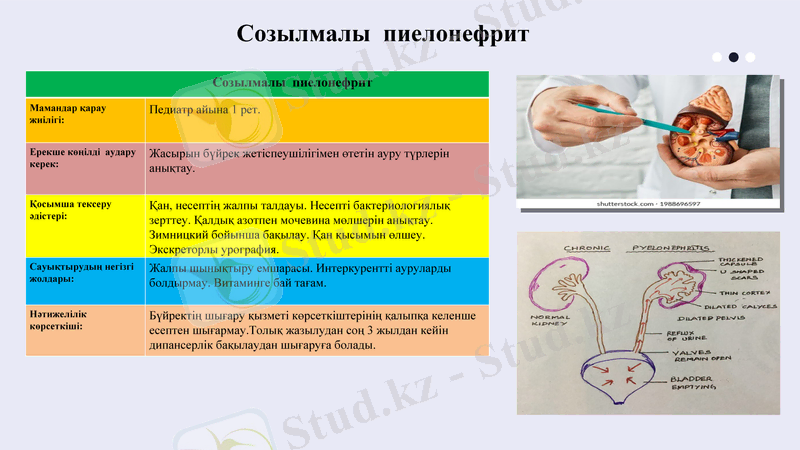 Slide 10