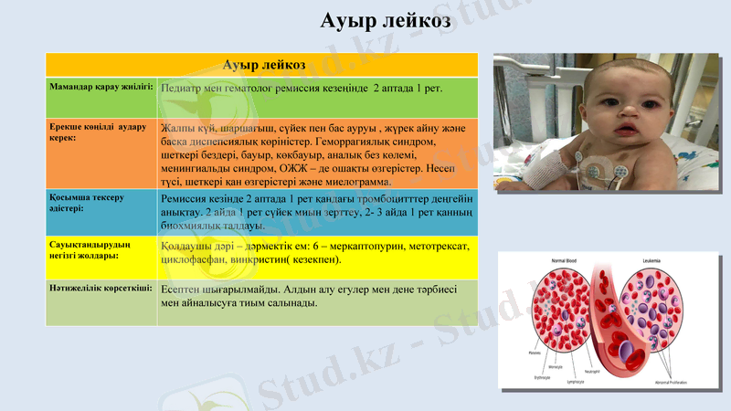 Slide 11