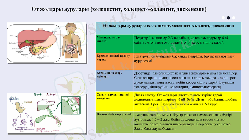 Slide 7