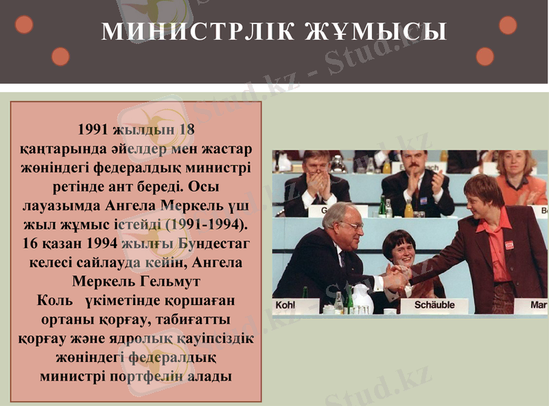 Slide 7