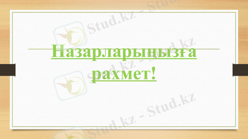 Slide 13