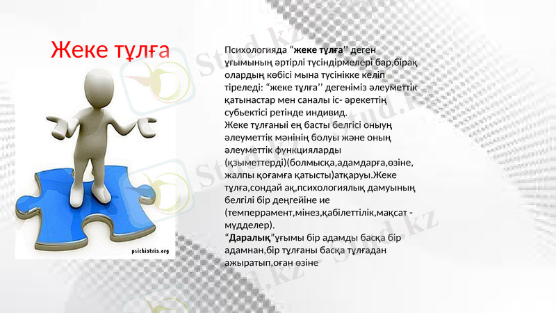 Slide 8