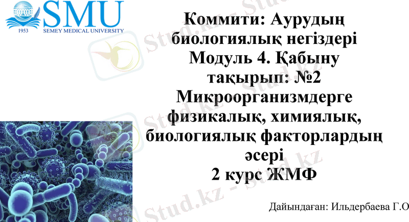 Slide 1