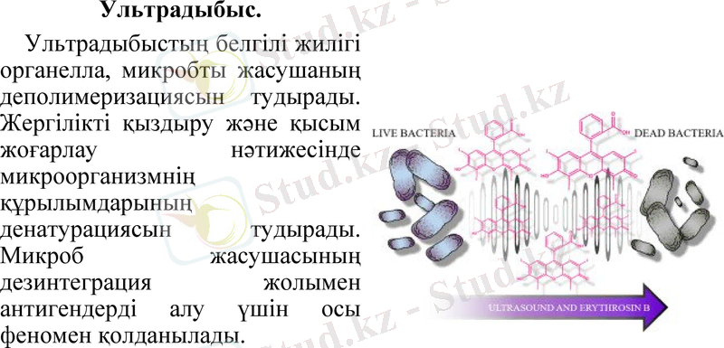 Slide 10