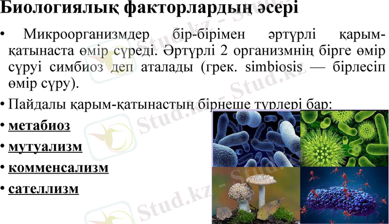 Slide 11