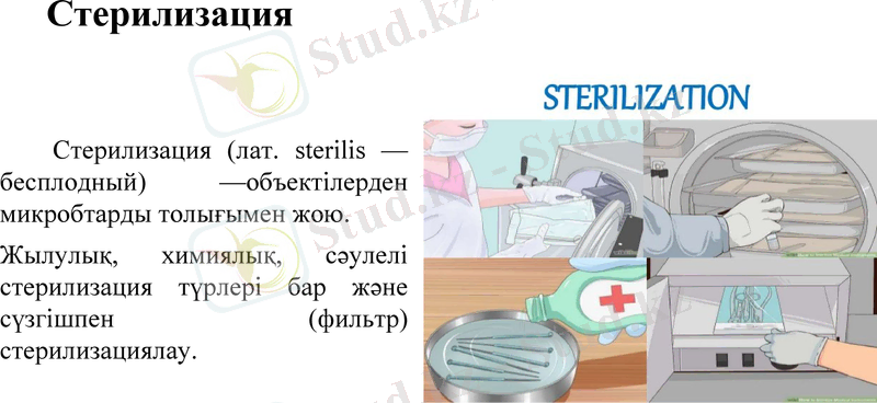 Slide 12