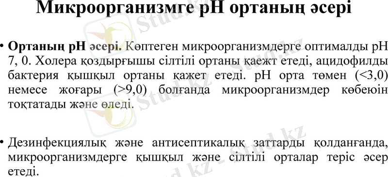 Slide 7