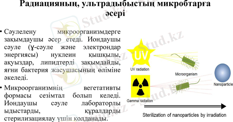 Slide 9