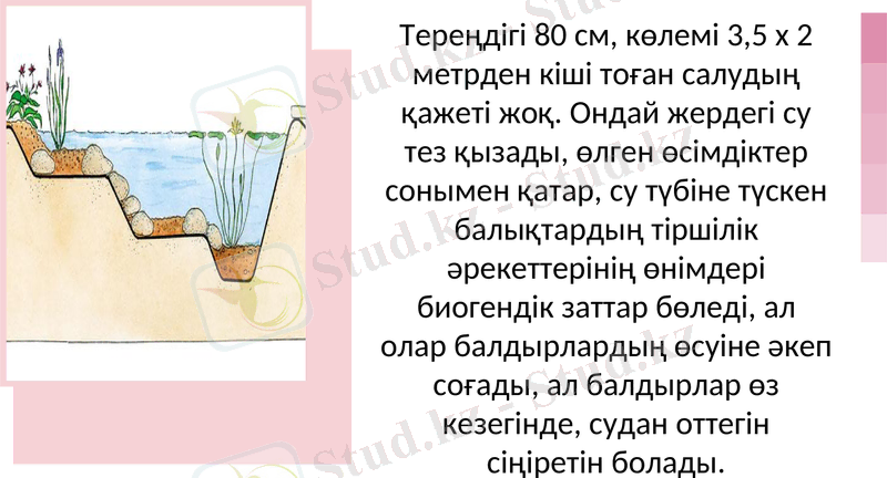 Slide 11