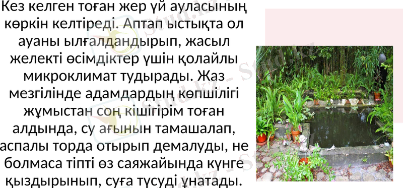 Slide 7