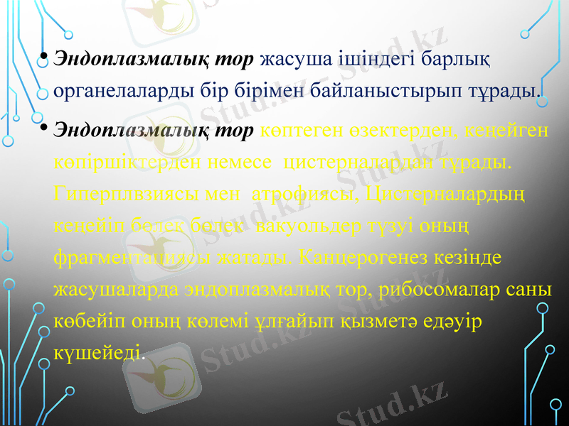 Slide 10